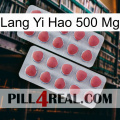 Lang Yi Hao 500 Mg 19